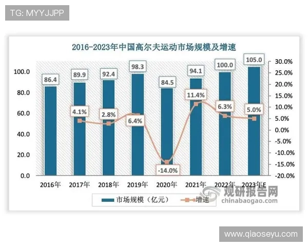 南京篮球队技术分析与战术创新的深度探讨与展望